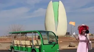 Cherry Goes Nuts - Summer Fun Retro Vacation Travel Roadside Attraction Road Trip Tour