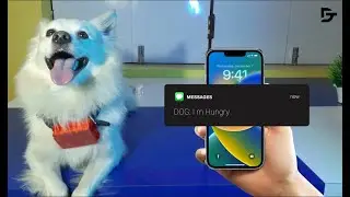 How To Make Dog GPS & Activity Tracker With Arduino || Arduino Nano || GPS Tracker || Drab Tech