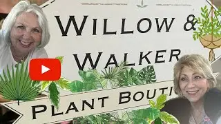 Willow & Walker Plant Boutique- Urbana OH #shopping #houseplants #boutique