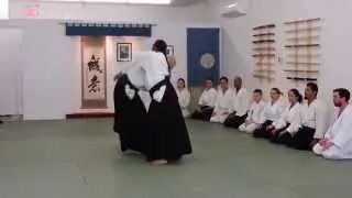 Donovan Waite Shihan : Aihanmi Katatetori Kokyuho & Iriminage Aikido