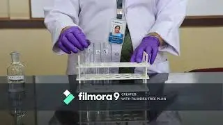 Assay of Amylase Enzyme by Colorimetry