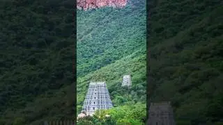 Miracle in tirumala temple||తిరుమలలో జరిగిన ఒక అద్బుత సంఘటన||#lord venkateswara#viral#shorts