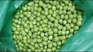 Smart Kitchen Tips & Tricks Live | Easy Cooking Hacks for Daily Use/weight loss recipe 