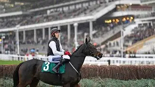 Dual Stayers&rsquo; Hurdle hero Flooring Porter makes winning debut over fences