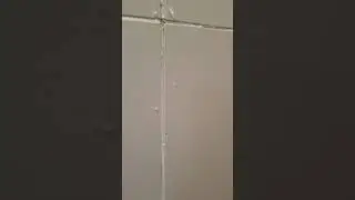 Trapped water behind shower tiles.