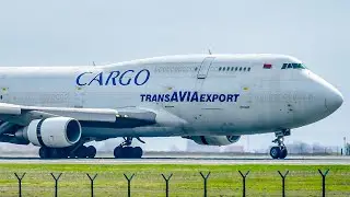 CORONAVIRUS MEDICAL SUPPLIES | RARE Trans Avia Export Boeing 747-300(F) Landing at Belgrade Airport