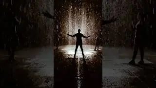 The Rain Room | Sharjah | UAE