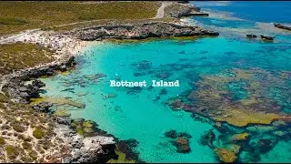 EXPLORING ROTTNEST ISLAND