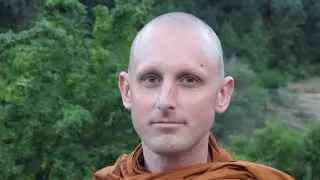Magha Puja 2019 | Ajahn Nyaniko