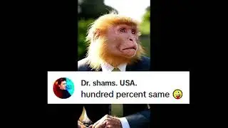 The Monkey of the Year | Most handsome monkey #internetcomedy #viralcomments #memereactions