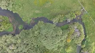 Salmon Spawning in the Pahsimeroi River