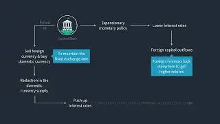 2026 CFA Level 1 Salt Solutions Lecture Video-Exchange Rate Regime   Ideals & Historical Perspective