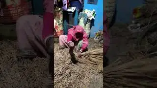 Paddy straw cutting #agriculture #domesticanimals #viral #youtube #shorts
