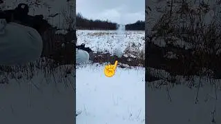 9 мм против .223: тест на лужу