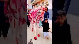 Abbas alamdar #ali #hussain