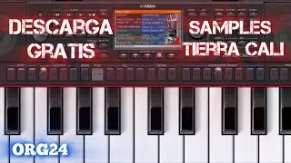 DESCARGA SAMPLES DE TIERRA CALI GRATIS PARA ORG24 