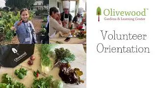 Volunteer Orientation Video_English
