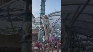 High Pole Lion Dance