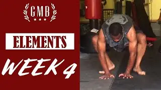 GMB Elements Review Week 4