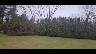 goosky RS7 backyard maiden flight