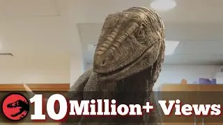 Dinosaur Nightmare - Jurassic World Fan Movie