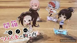 開箱 くノ一ツバキの胸の内【椿、木蓮、杏李、茴香】立牌