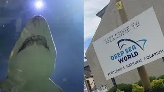 Deep Sea World 2021 | Scotland's National Aquarium | Short Vlog | MacBlogs
