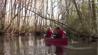 Canoe the Edisto River at Aiken State Park