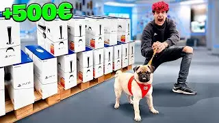 COMPRO a mi PERRO TODO lo que TOCA en una TIENDA DE ANIMALES!