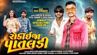 પાતલડી || Rokayja Pataldi || Sanesh Katara Vipul Damor And Vijay Pandha New Timli Song 2025 
