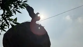 Jataayu Theme Park Lepakshi | One Day Trip Travel Video | Andhra Pradesh