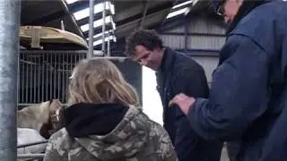 Portret van Zorgboerderij Moai Seldsum