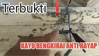 TERBUKTI❗KAYU BENGKIRAI SUPER ANTI RAYAP GAK MEMPAN GIGI BISA OMPONG
