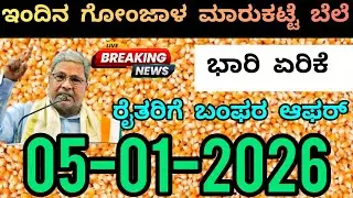 Today Maize Seeds Market Rate | ಇಂದಿನ ಗೋಂಜಾಳ ಮಾರುಕಟ್ಟೆ ಬೆಲೆ #maize #maizeseeds #marketing #marketing
