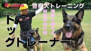 あなたのワンちゃんはどうですか？警察犬はこうやって訓練する！ドッグトレーナーの職業体験【オッサニア福岡】ワンワン吠えられながら、犬のお世話をしてきました！株式会社Dog's Japan