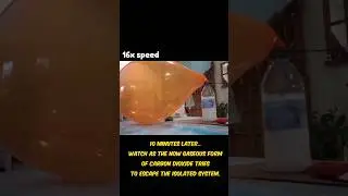 dry ice fills balloon experiment! (loud explosion) #shorts #science #experiment #dryice