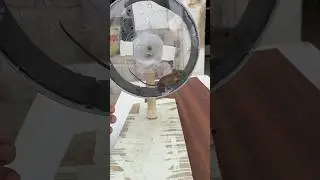 Mouse in Hamster Wheel #shorts #experiment