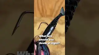 Best lure for night fishing? Berkley Slobberknocker #fishing #shorts