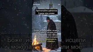9 февраля 2025 г.