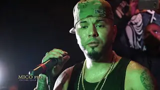 ROBERTICO Y  EL CHACAL