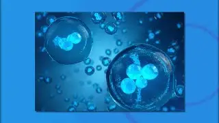 Egg Freezing - A Fertility Specialist's Personal Journey