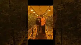 Colorado Harvest Company Dispensers tour #shorts
