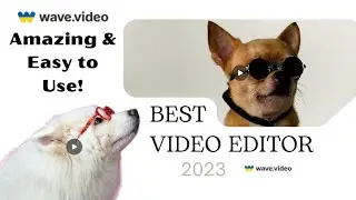 Wave Video the Best Video Editor of 2023 with an Awesome Live Streaming Stuidio Included.