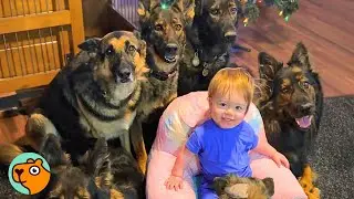 5 Animal Stories You Won&rsquo;t Believe Are Real  | Cuddle Buddies