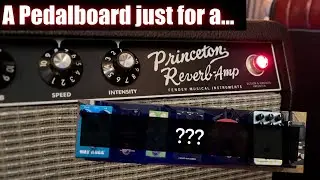 A Pedalboard JUST for a Fender Princeton Reverb