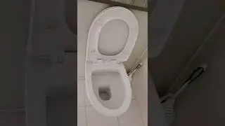 5 Handyman Fixes in 1 Day 🛠️ | Toilet Seat, Wall Paint, Glass Door & More! #singapore