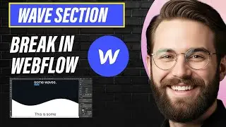 Разрыв волнового участка в Webflow (полное руководство на 2026 год)
