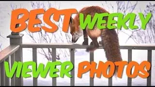 Top viewer photos: Going for a wild ride