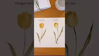 Como pintar de forma simples uma tulipa em aquarela 🌷