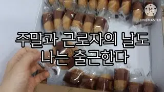 [브이로그#26] 40대 비혼 1인가구/주말과 근로자의 날 출근하기/5인미만 회사/월10만원 이하로 생활하는 짠순이/집순이
